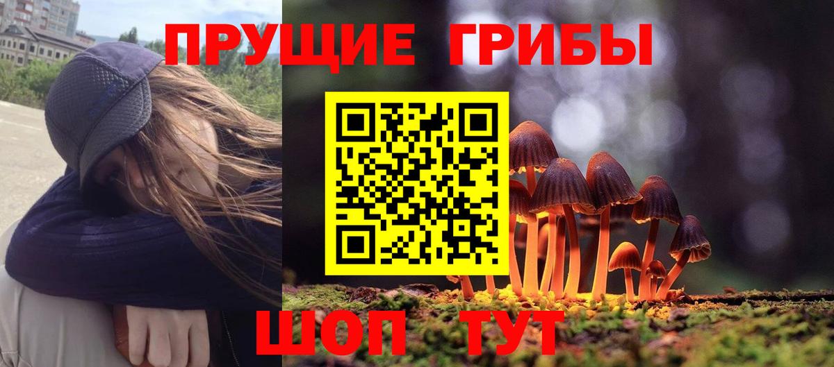 Псилоцибиновые грибы GOLDEN TEACHER Чехов